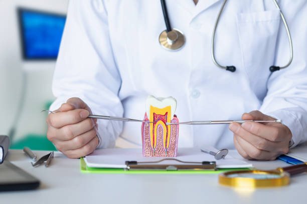 Best Same-Day Emergency Dental Services in Lisbon, ND